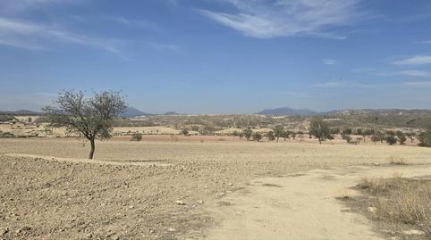 Foto 3 de Terreno en venta en Parroquia, 1, Ortillo, Murcia