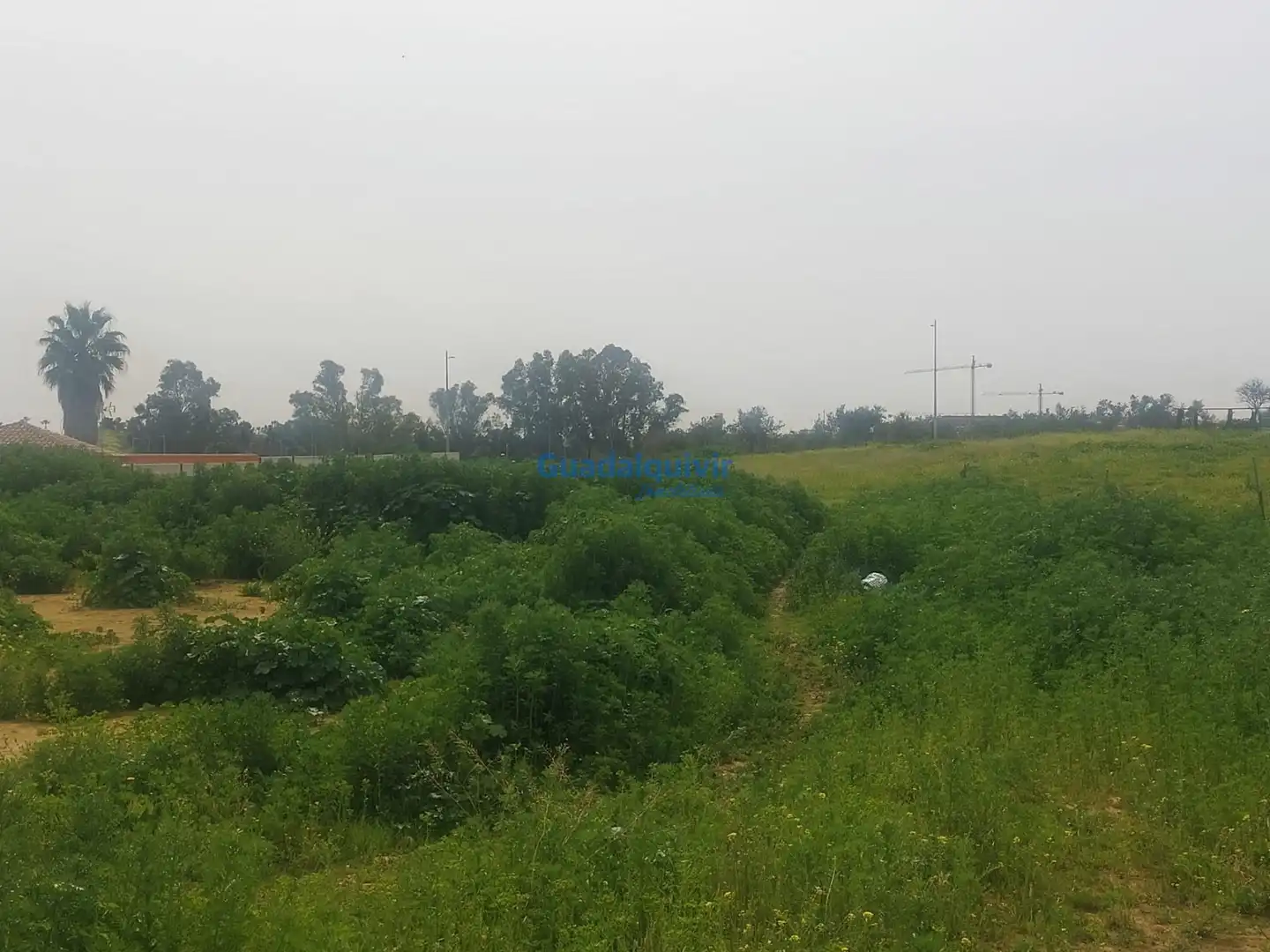Residential land for sale in Entrenúcleos, imagen 8