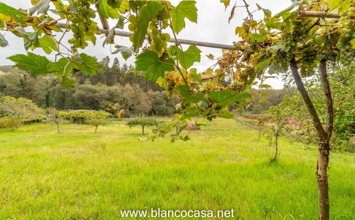Residencial en venda en Arteixo