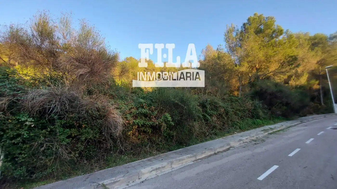 Terreno rustico in vendita a xavier montsalvatge  en  mas romeu, imagen 3