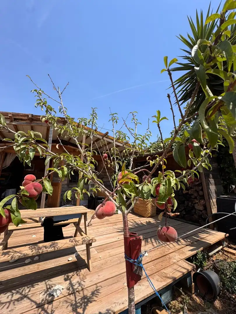 Jardín de Edificio en venta en Conil de la Frontera
