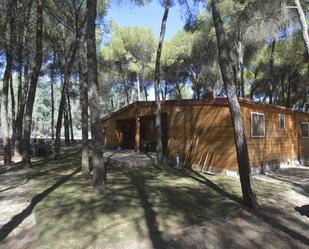 Jardí de Finca rústica en venda en Marchena amb Jardí privat, Terrassa i Piscina