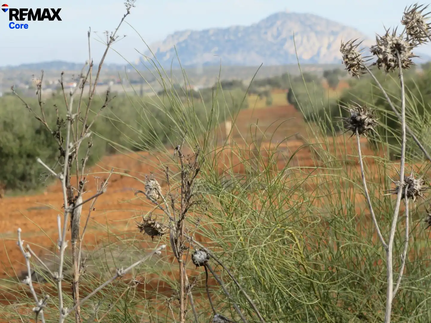 Grundstücke zum Verkauf in La Zarza (Badajoz)