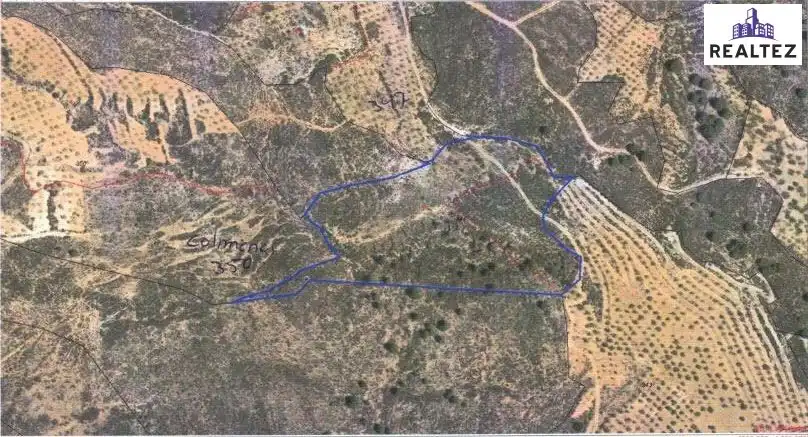 Terrain rustique à vendre à Alcolea, imagen 2