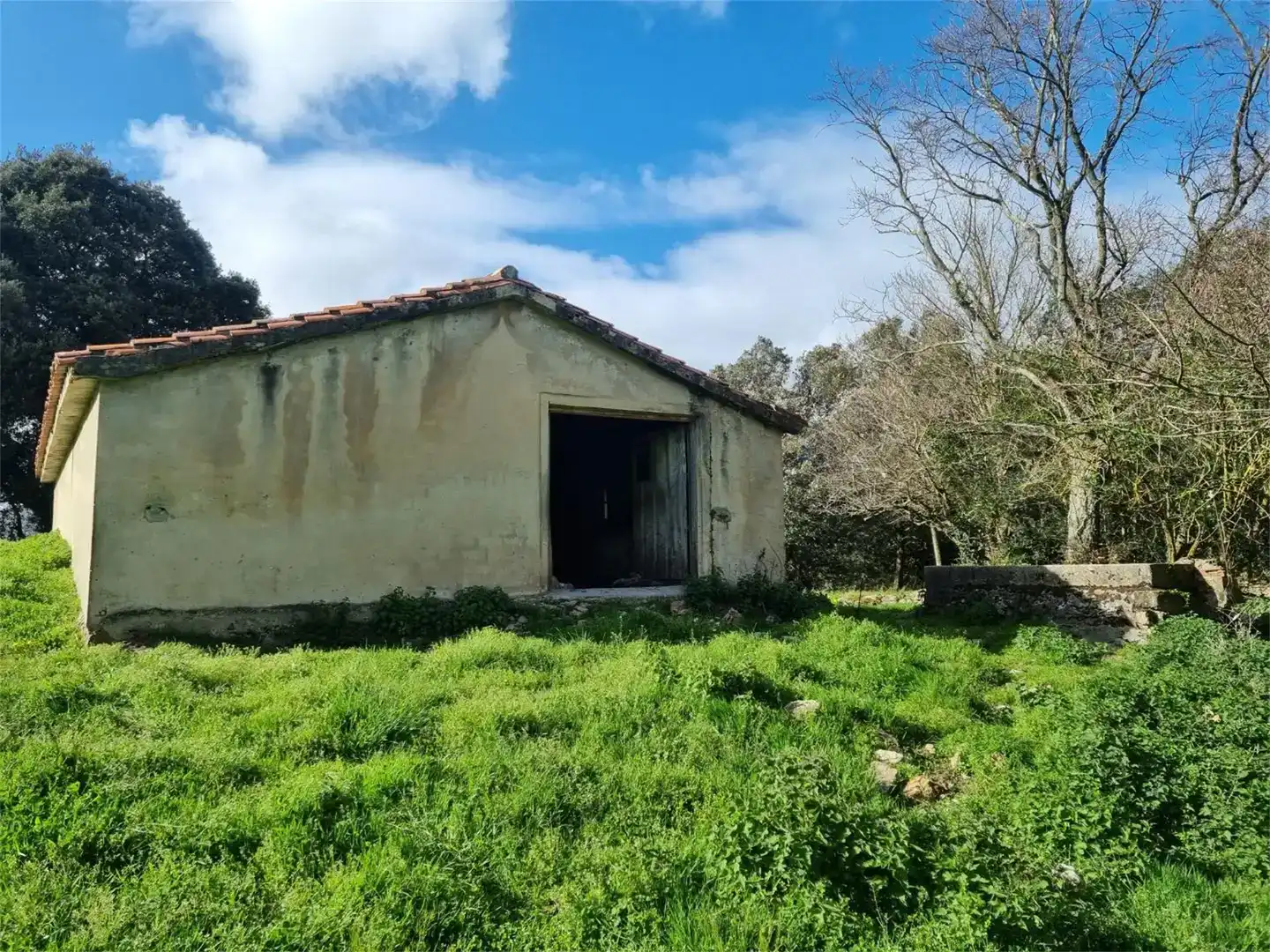 Finca rústica en venda en Ruesga