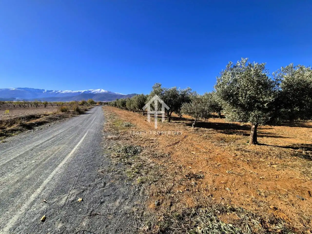 Lands and plots for sale in Lanteira, imagen 57