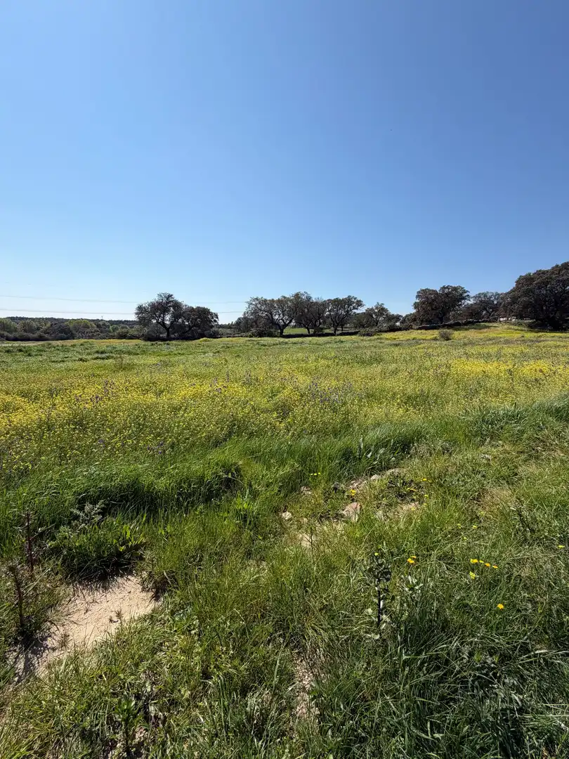 Terreno rustico in vendita a Malpartida de Plasencia, imagen 6