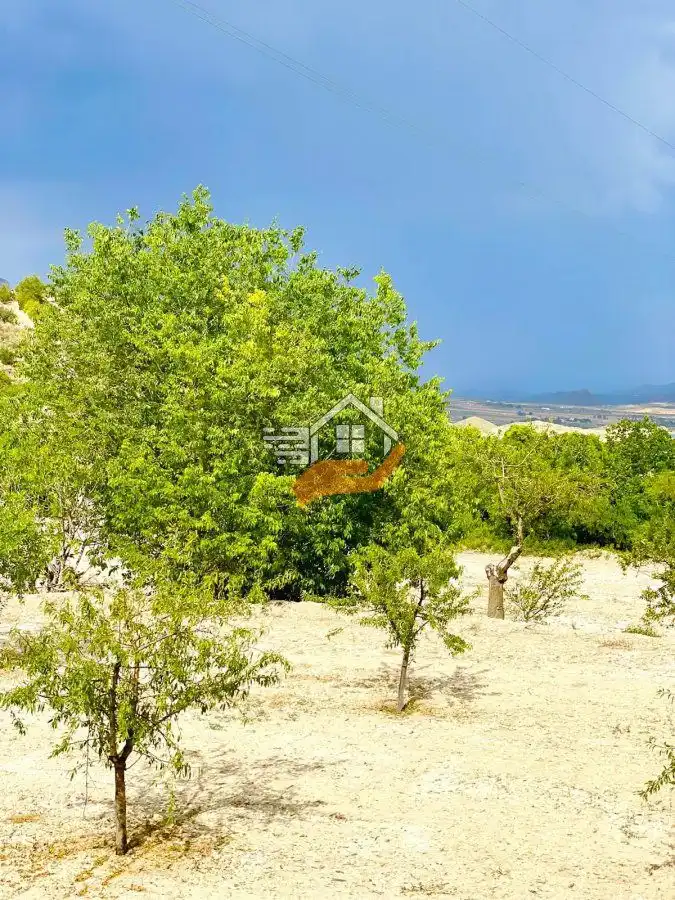 Lands and plots for sale in Vélez-Blanco, imagen 12