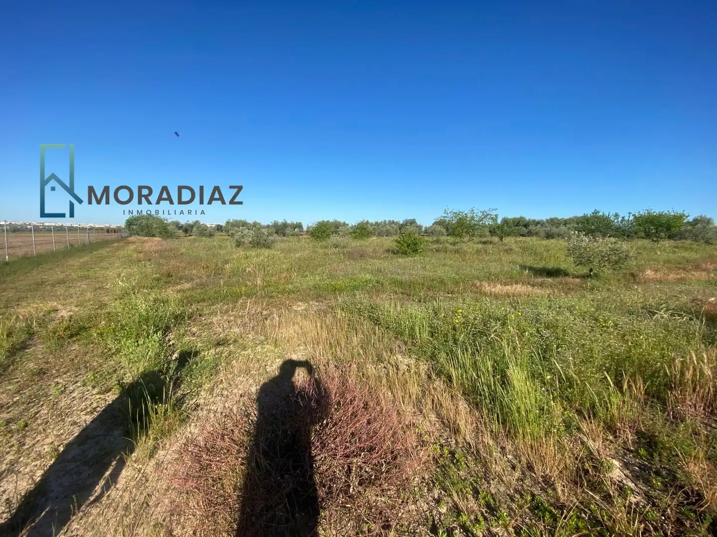 Terrain rustique à vendre à Avenida de Las Vegas Altas 50, imagen 4