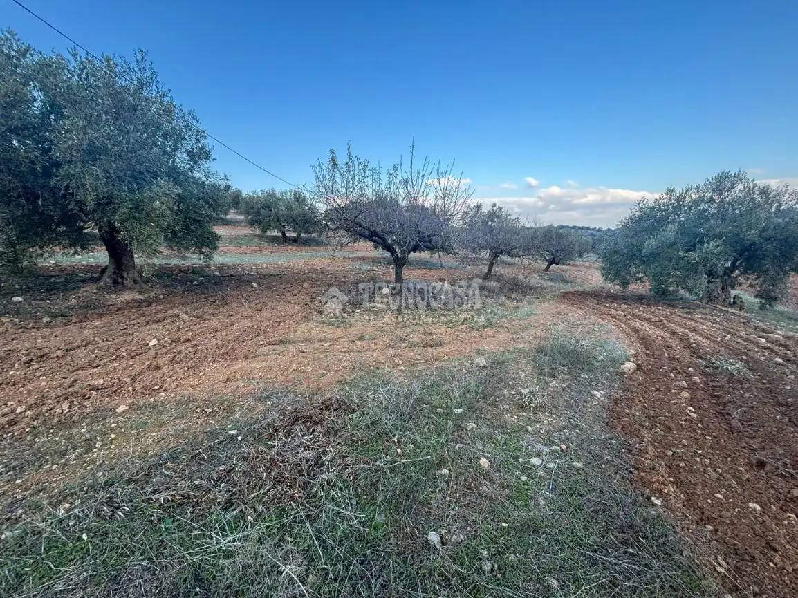 Terreni e lotti in vendita a Centro, imagen 8