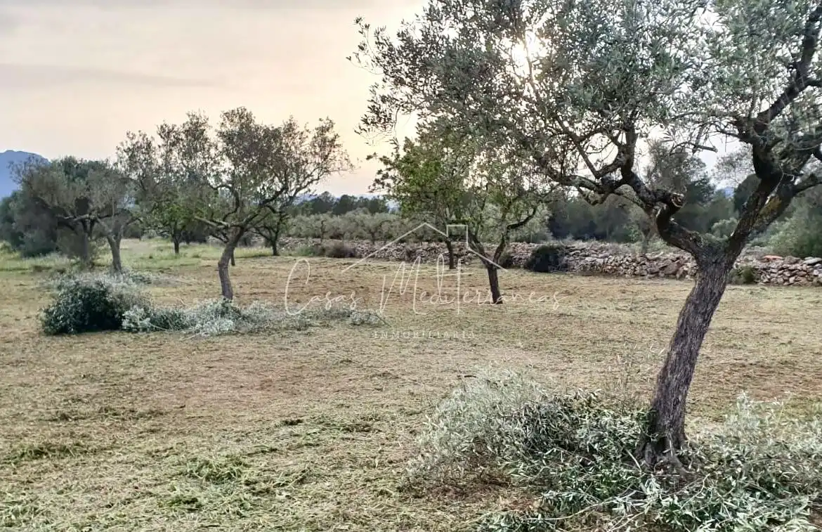Rural land for sale in Tivissa, imagen 2