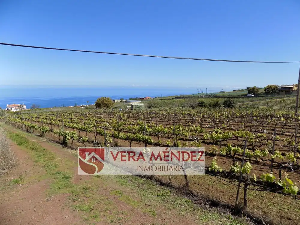 Finca rústica en venta en El Sauzal