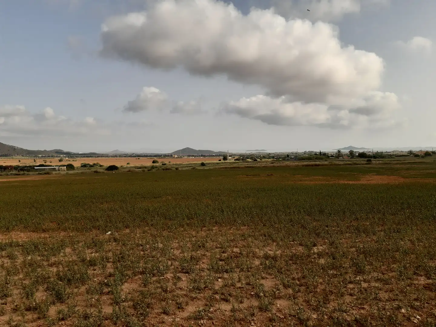 Residential land for sale in Mar Menor de Cartagena – Cabo de Palos, imagen 7