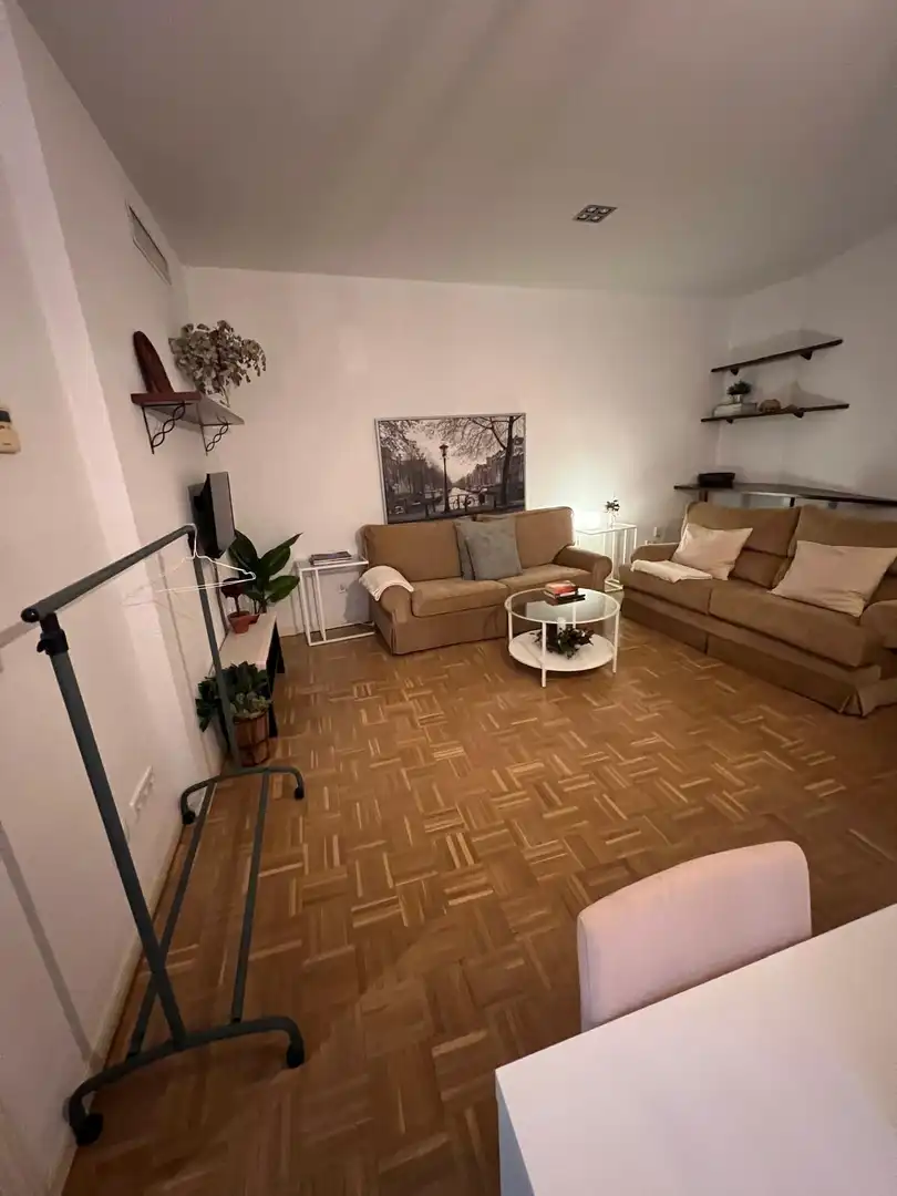 Sala de estar de Piso de alquiler en Sevilla con Aire acondicionado y Amueblado
