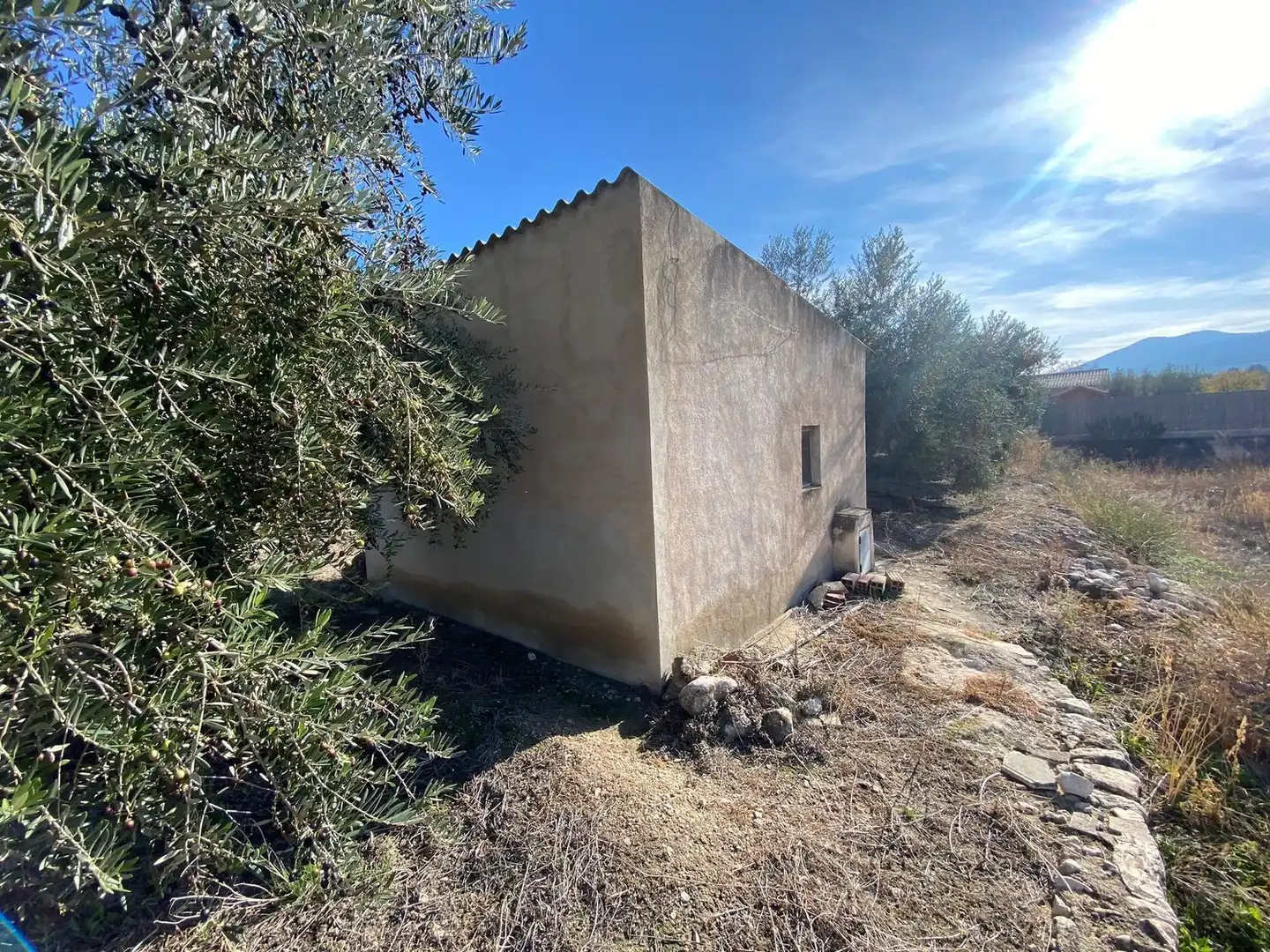 Terreny rústic en venda a Moratalla, imagen 5