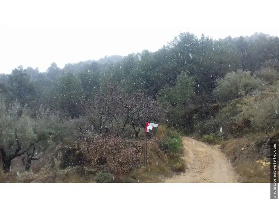 Finca rústica en venda en Sueras / Suera