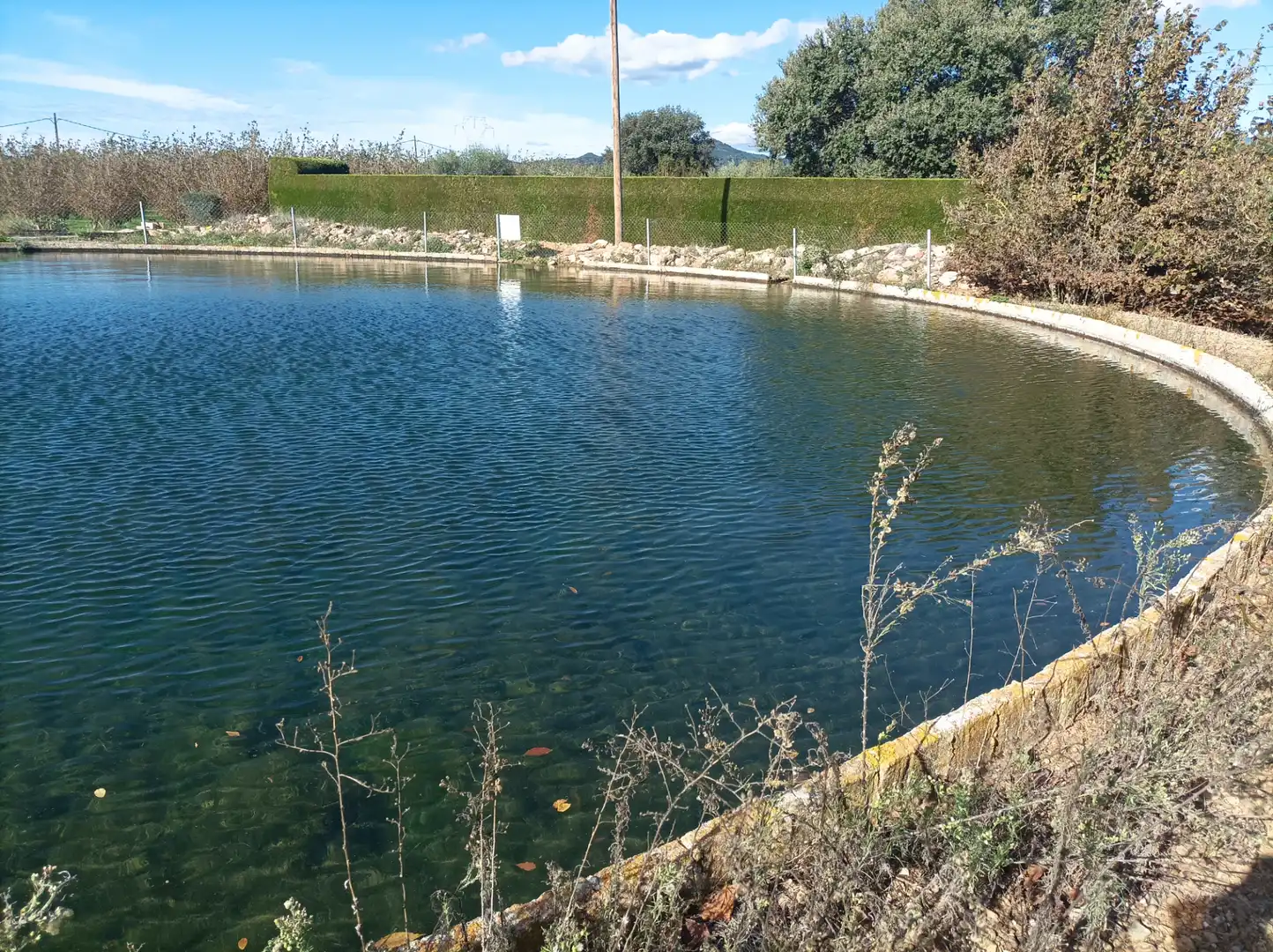 Piscina de Terreno en venta en Vilallonga del Camp