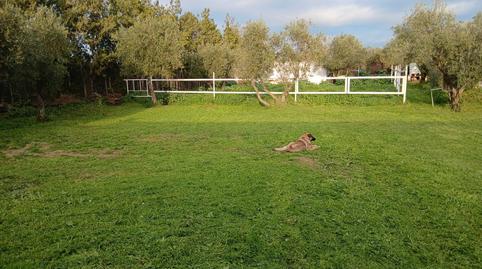 Foto 5 de Casa o chalet en venta en Pedanías Sur, Utrera