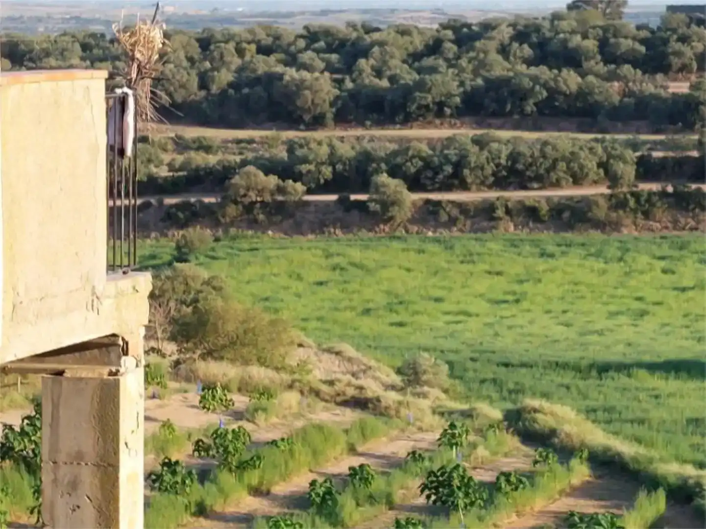 Vista exterior de Finca rústica en venda en Cubells amb Jardí privat