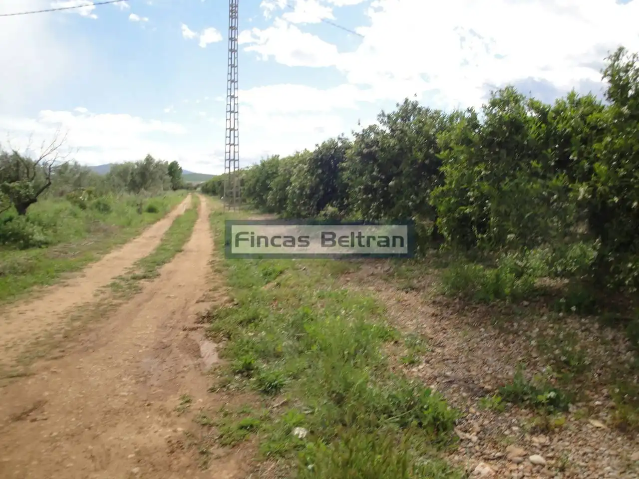 Rural land for sale in Poligono 18, PARCELA 153
