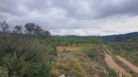 Suelo agrícola en venta en El Pinell de Brai, immagine 3