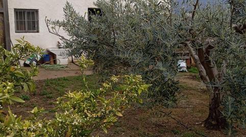 Photo 5 of Country house for sale in Los Gallardos, Almería