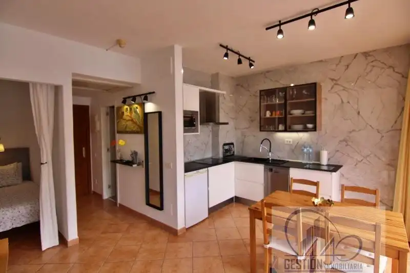 Kitchen of Apartments for rent in Puerto de la Cruz  with Parquet flooring, Terrace and Furnished