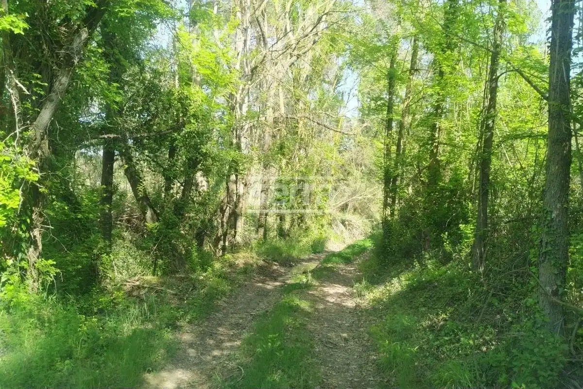 Rustikales Grundstück zum Verkauf in Sant Martí Sarroca, imagen 2