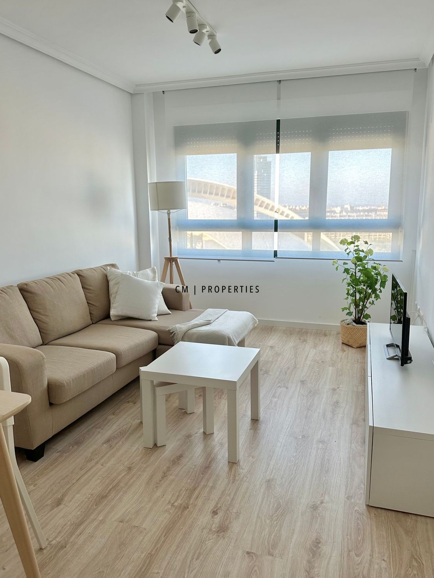 Living room of Flat for rent in  Valencia Capital  with Air Conditioner, Heating and Parquet flooring