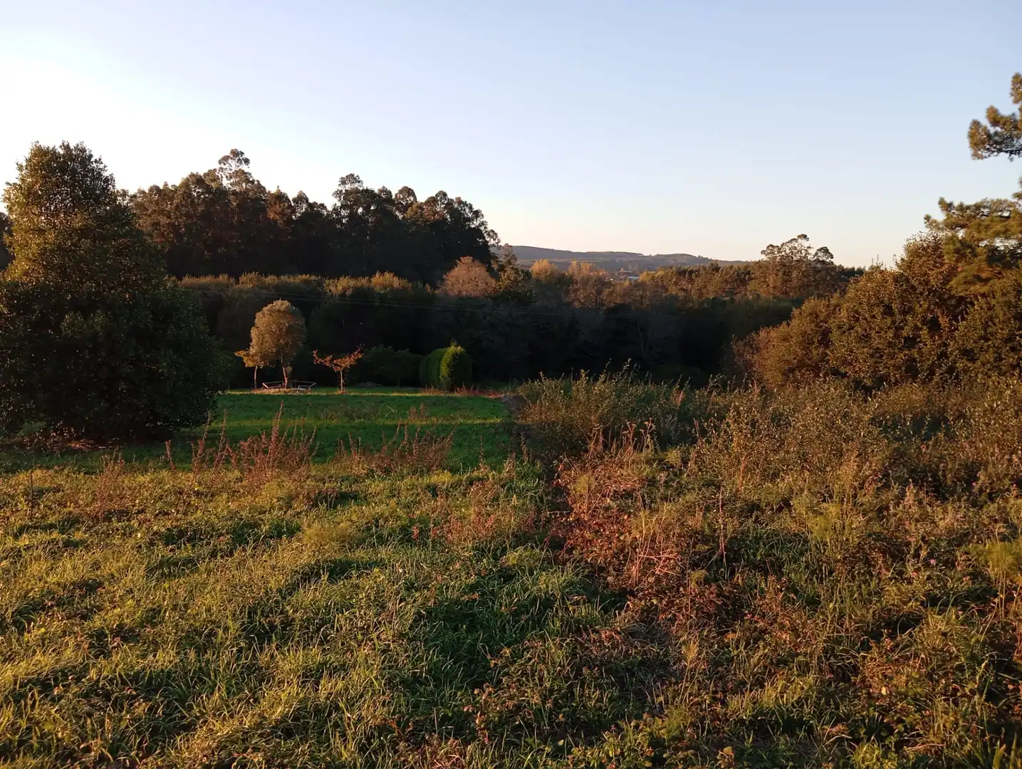Residential for sale in A Laracha  