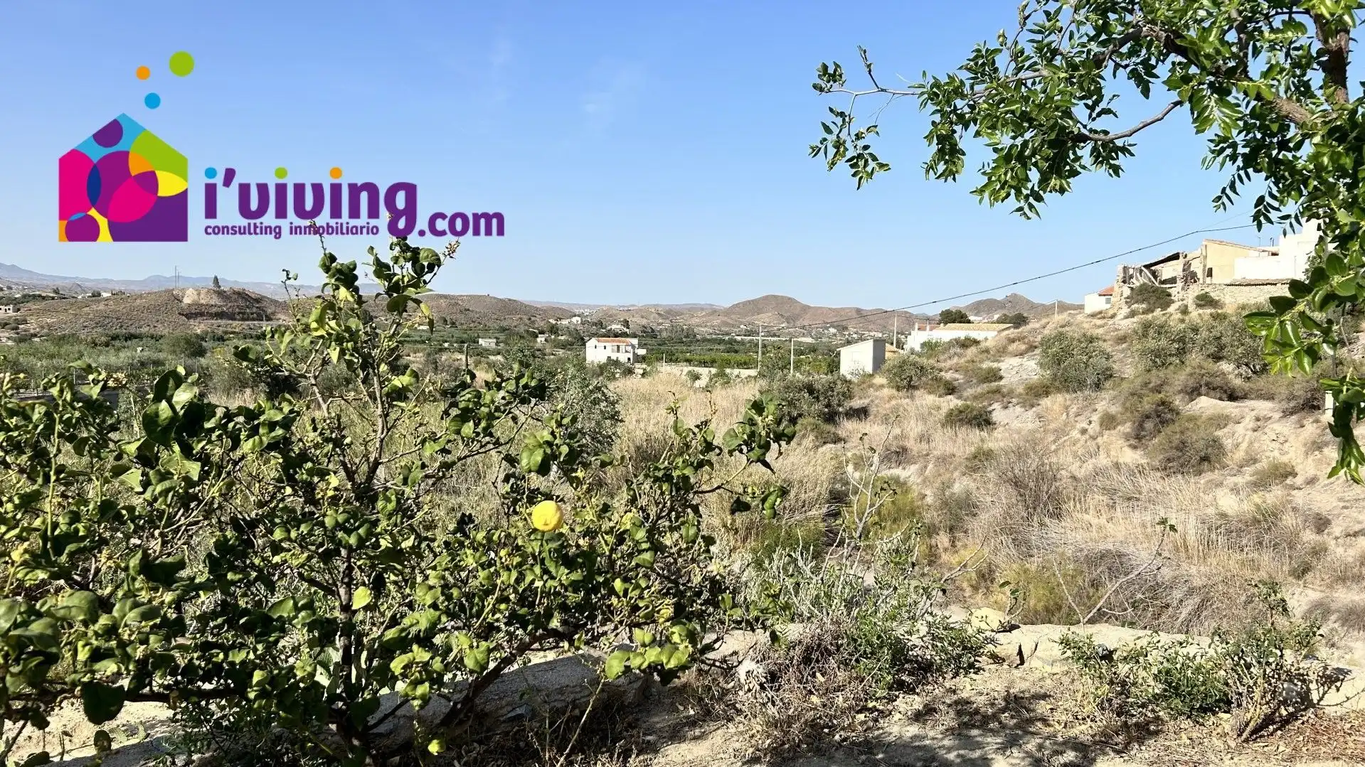 Finca rústica de alquiler en Cantoria