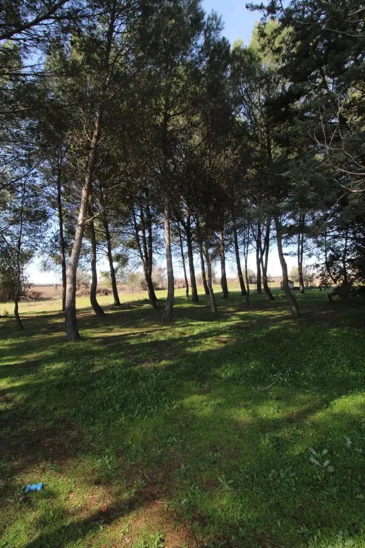 Casa o xalet en venda en Ciudad Real amb Aire condicionat i Calefacció