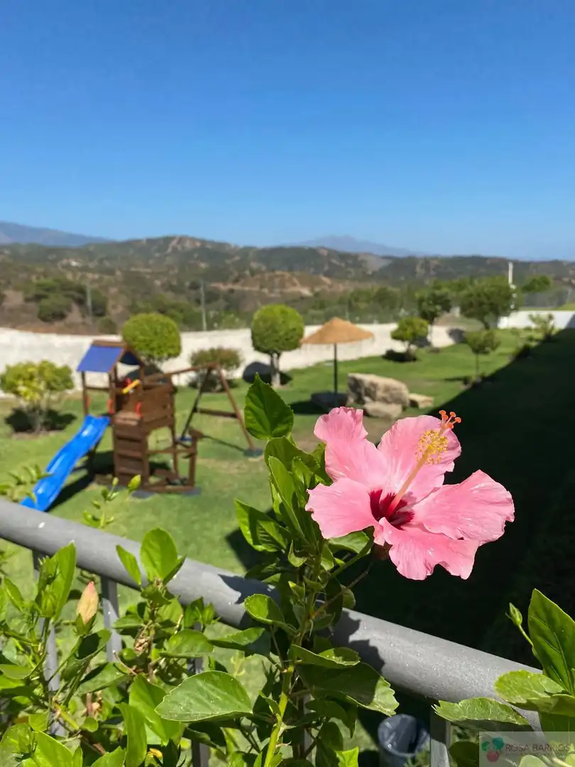 Àtic en venda a Altos de Estepona