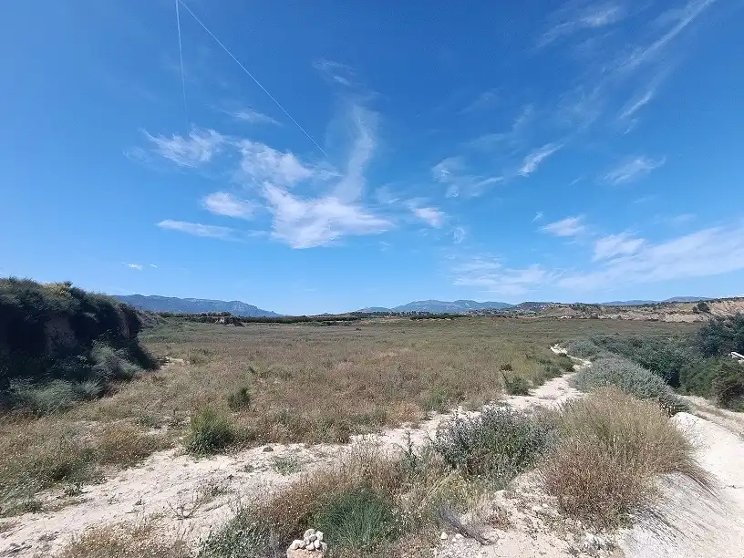 Lands and plots for sale in Mula, imagen 15