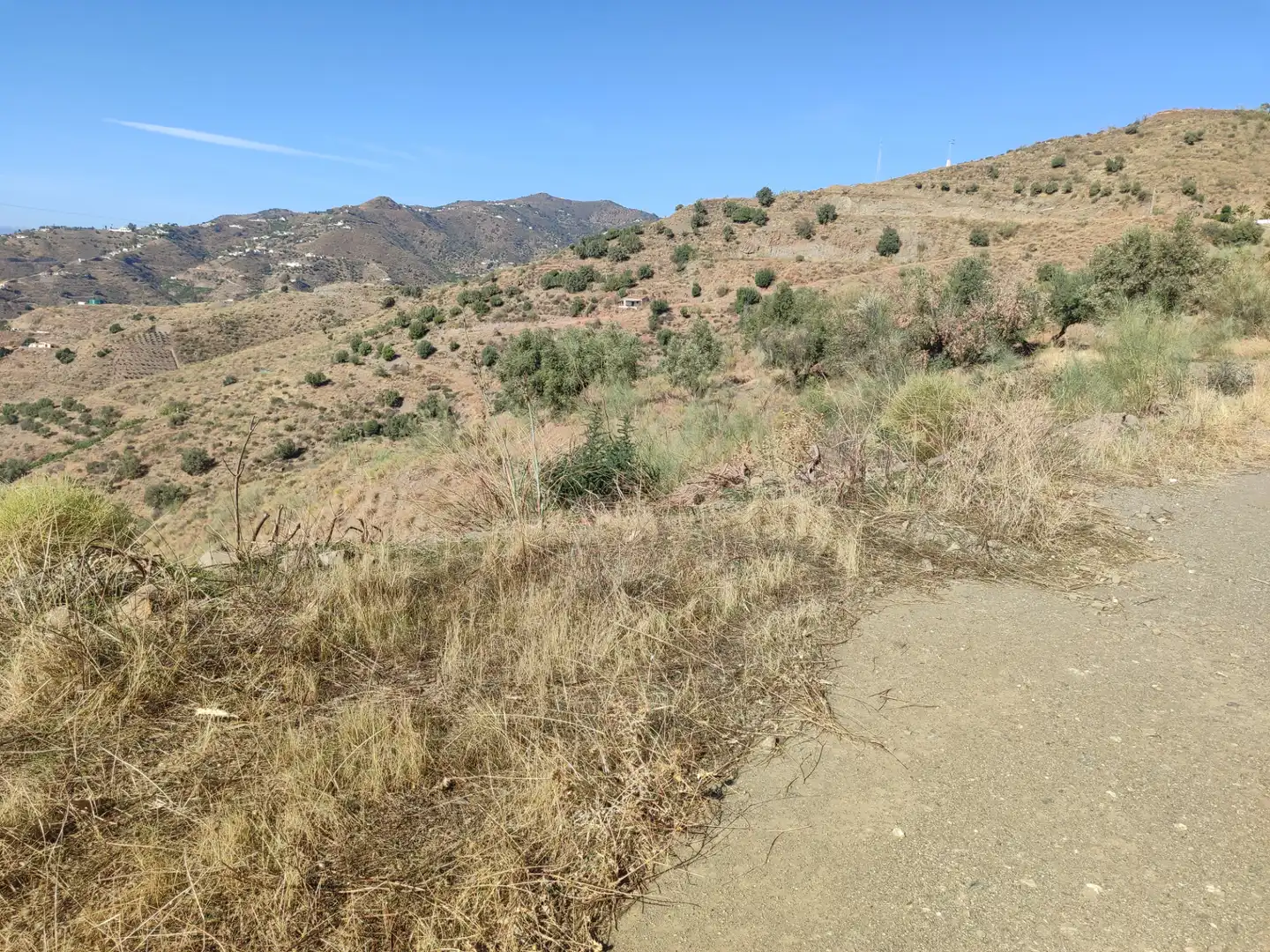 Terreny en venda en Algarrobo