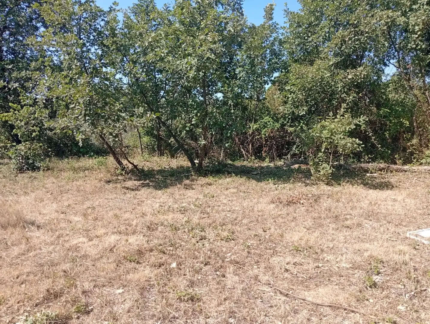 Terreni e lotti in vendita a Villanueva de la Vera, imagen 11