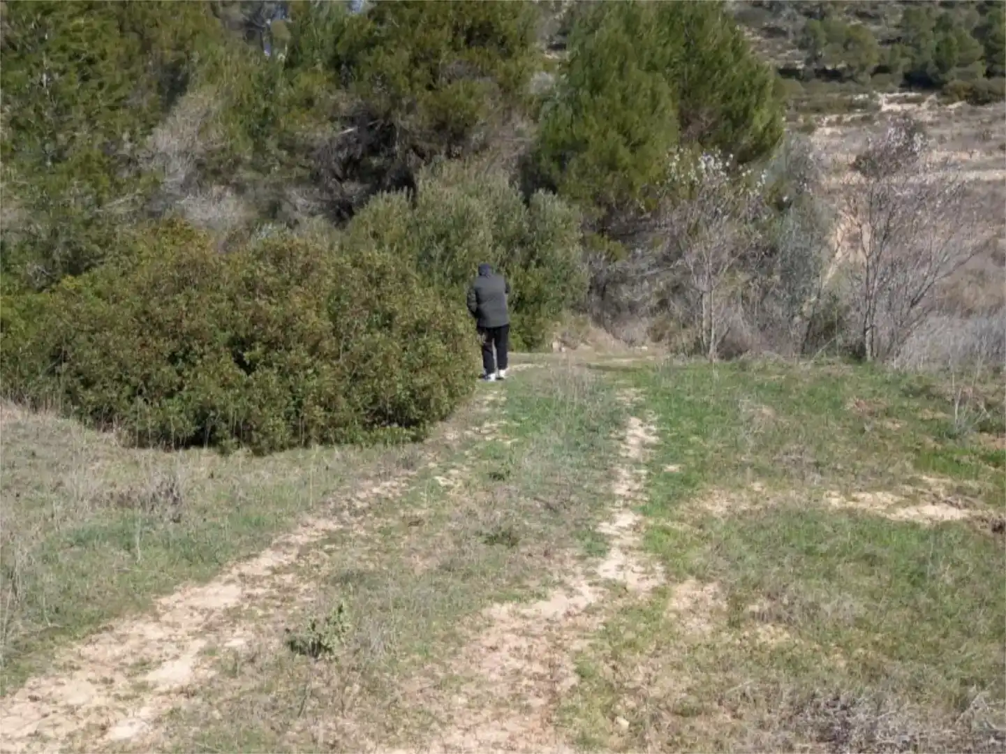 Terreno en venta en Corbera d'Ebre