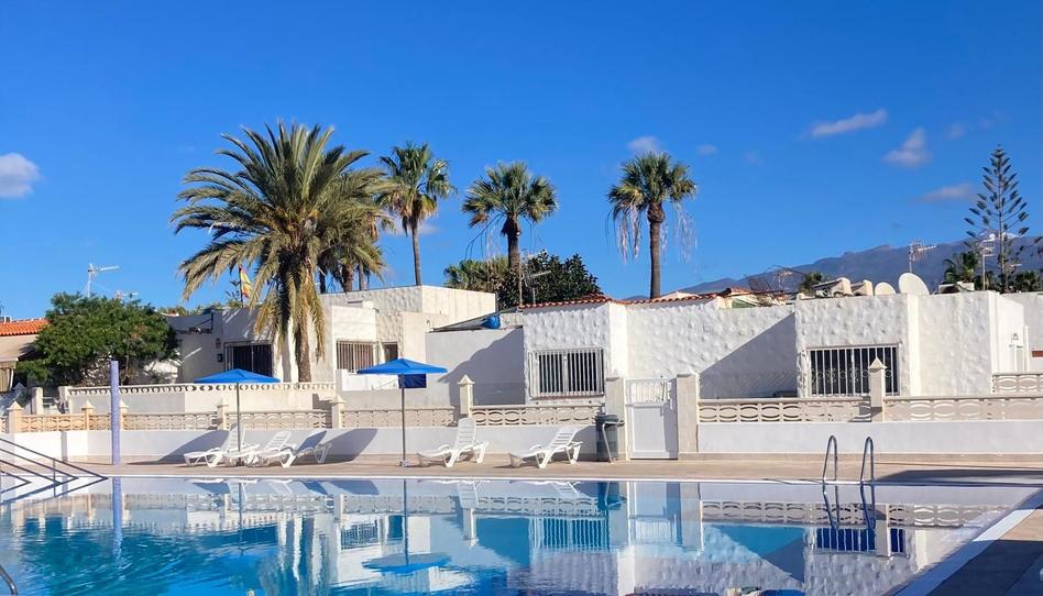 Foto 1 de Estudi de lloguer a Costa del Silencio, Santa Cruz de Tenerife