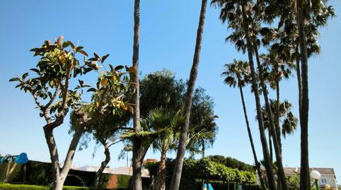 Photo 4 of Flat for sale in Santiago de la Ribera, Murcia