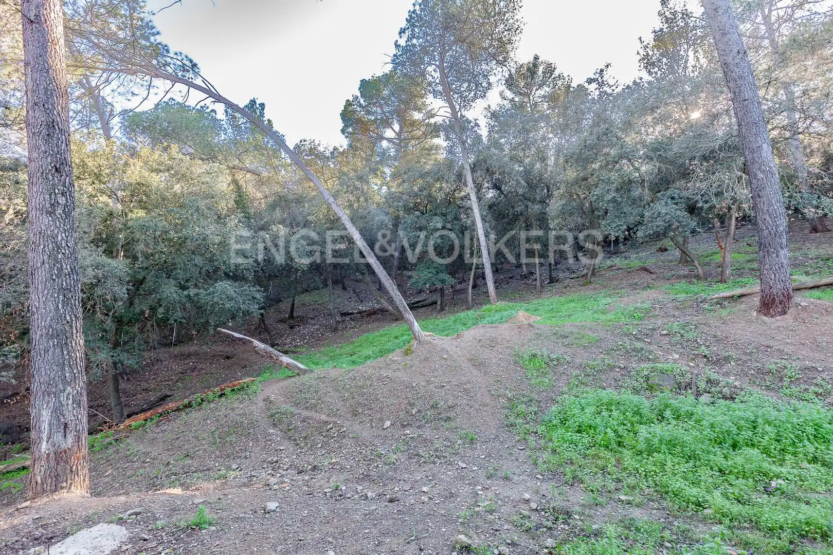 Casa amb terrassa en venda a Valldoreix, imagen 104