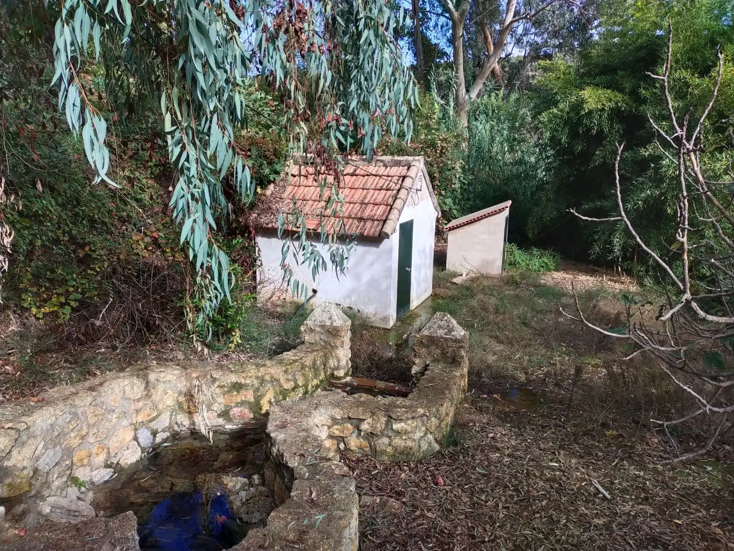Casa amb piscina en venda a Diseminado Diseminados 193, imagen 18