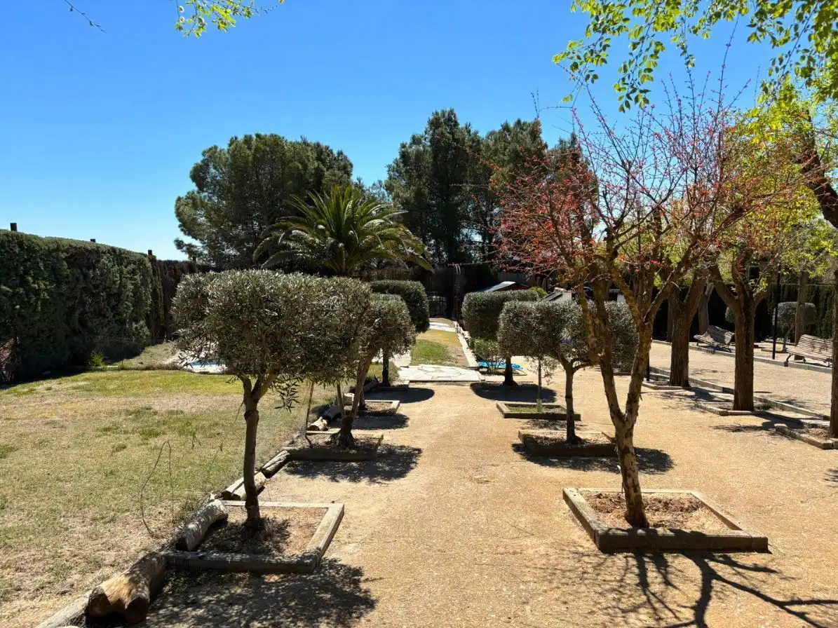Jardín de Finca rústica en venta en Campo de Criptana con Jardín privado y Piscina