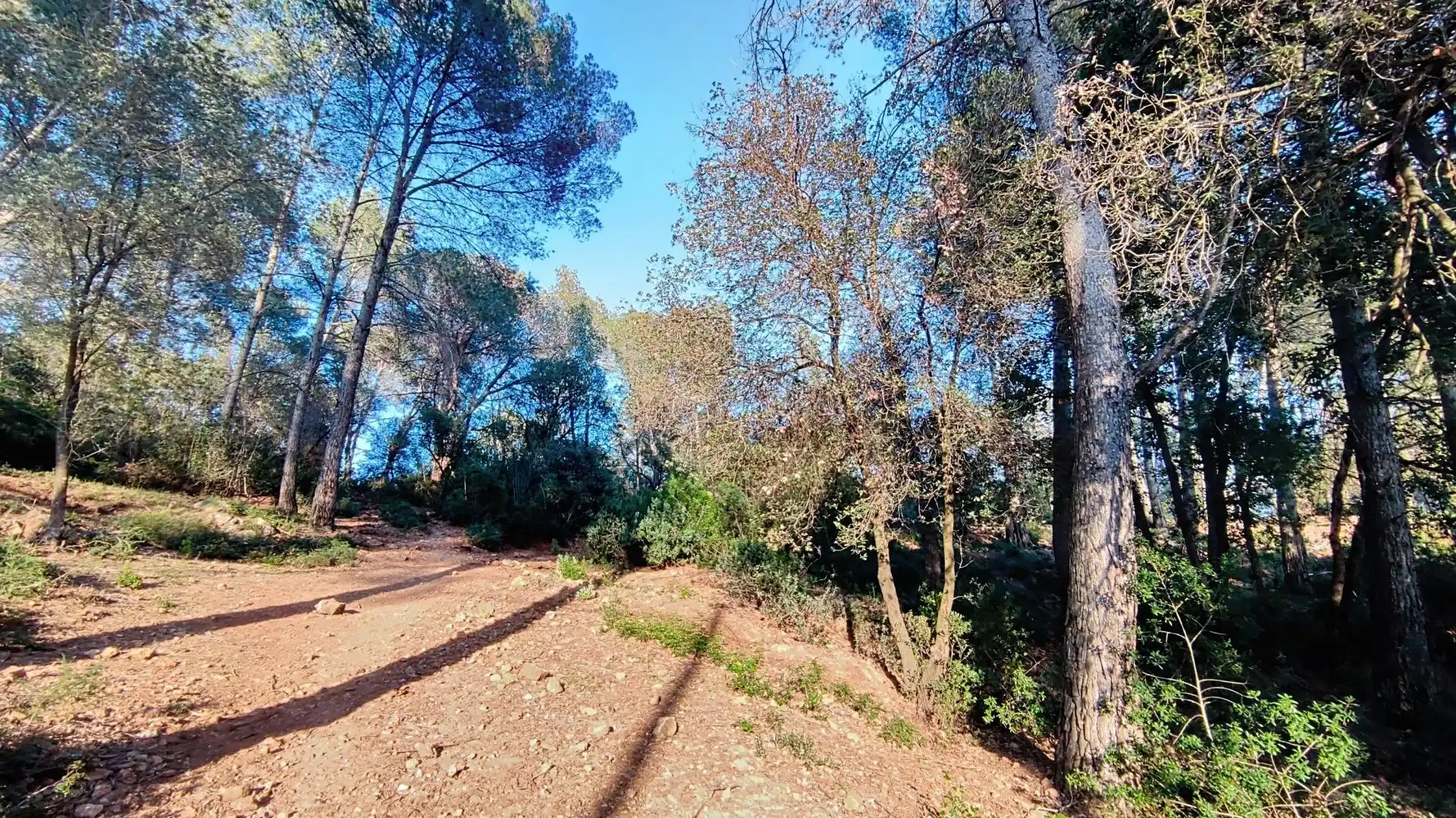 Terreno residencial en venta en Molins de Rei, imagen 17