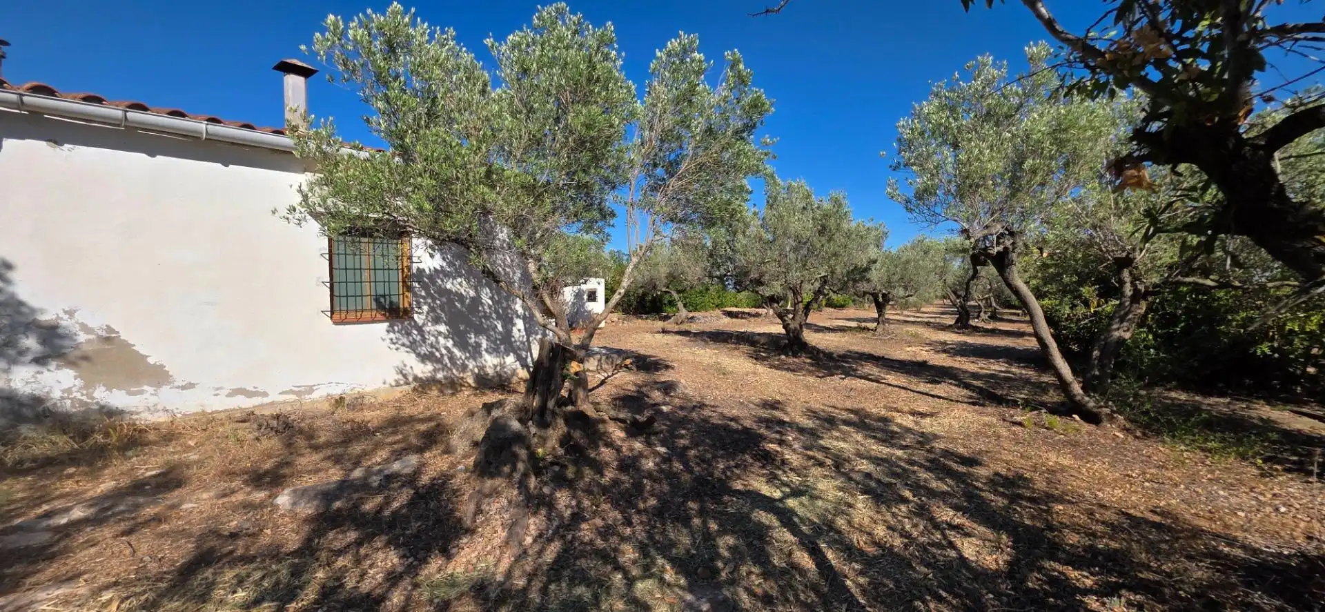 Finca rústica en venda en L'Aldea amb Traster