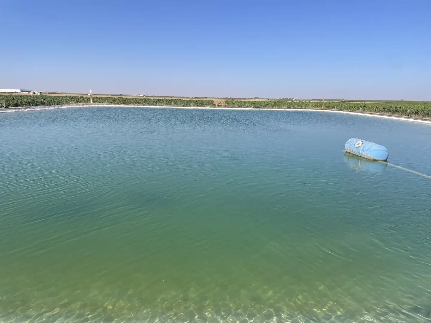 Rural land for sale in Argamasilla de Alba, imagen 12