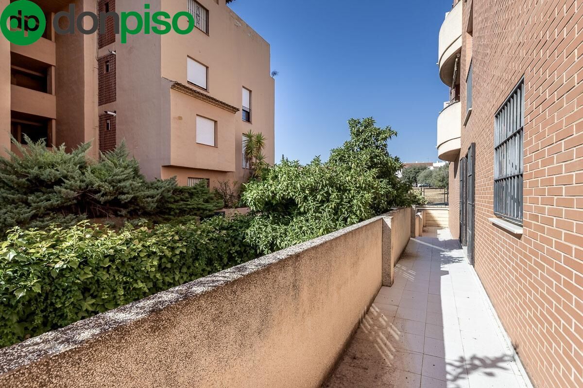Exterior view of Flat for sale in  Granada Capital  with Terrace and Balcony