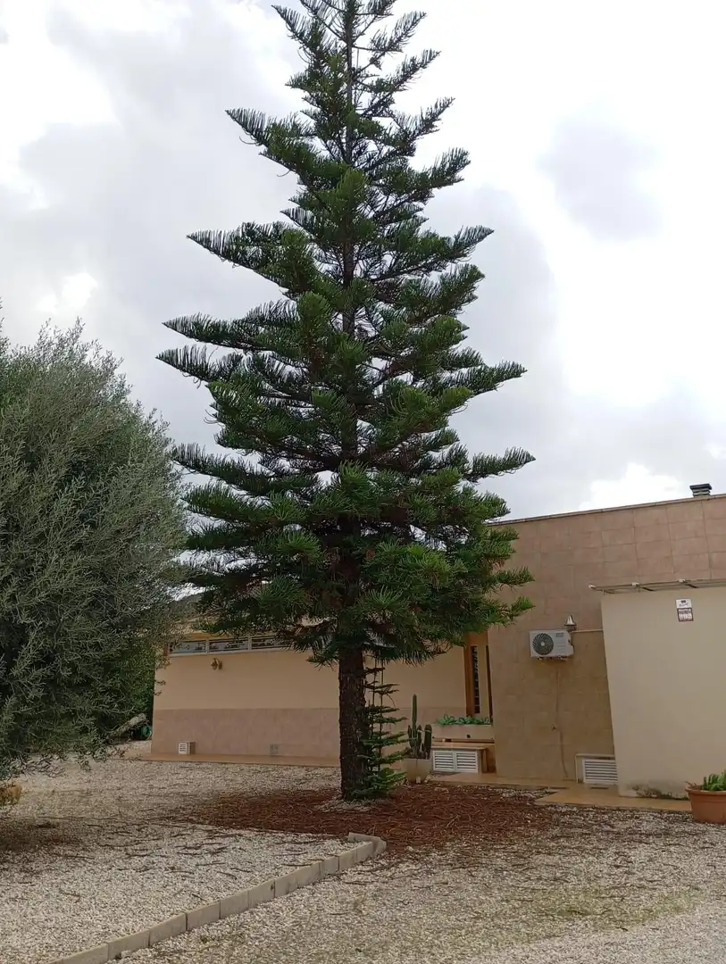 Villa avec piscine à vendre à Almoradí, imagen 21