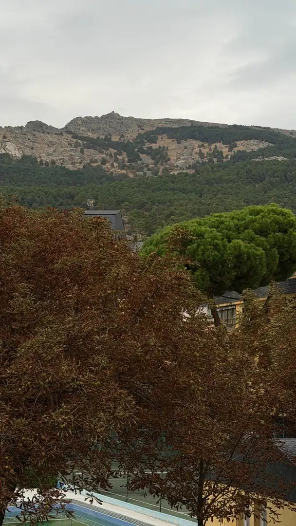 Pis amb terrassa en venda a Centro - Casco Histórico, imagen 27
