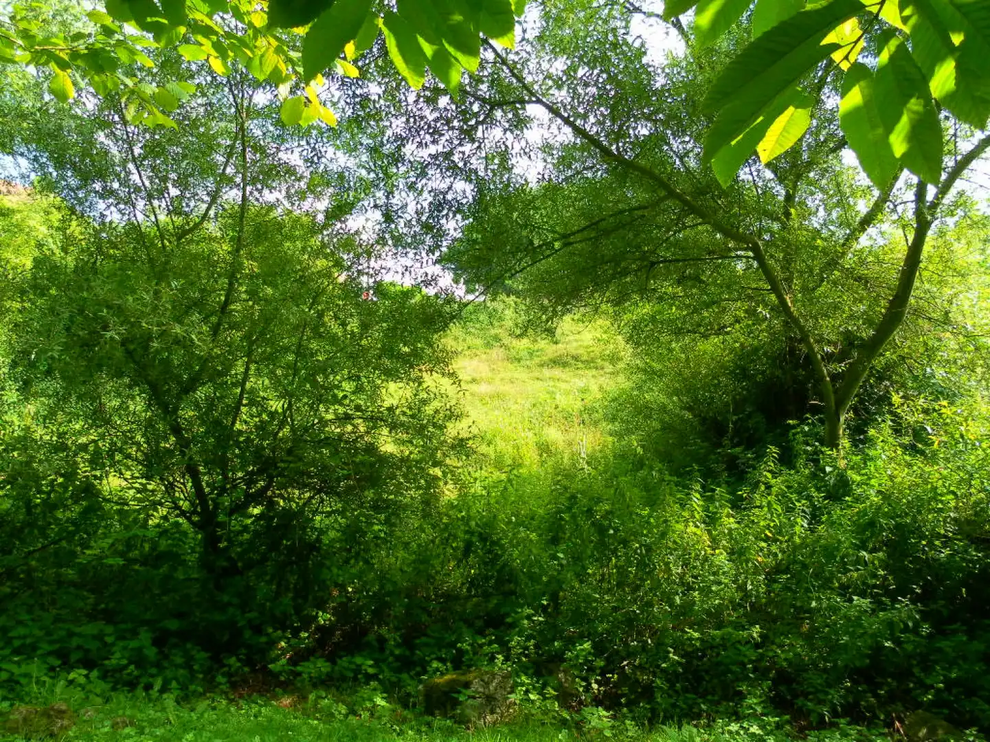 Wohnbaugrundstück zum Verkauf in Llanera, imagen 15