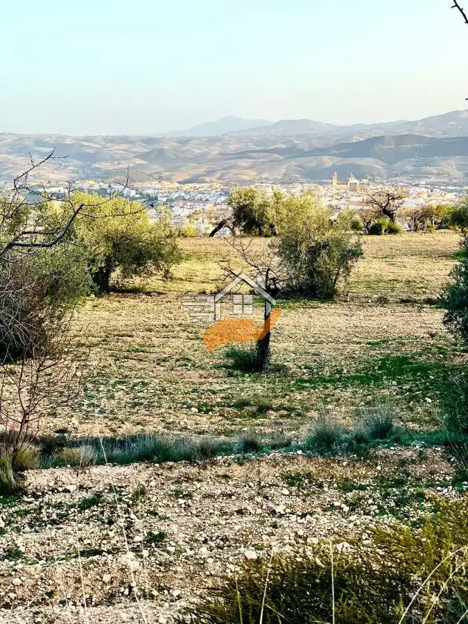 Lands and plots for sale in Vélez-Rubio, imagen 17